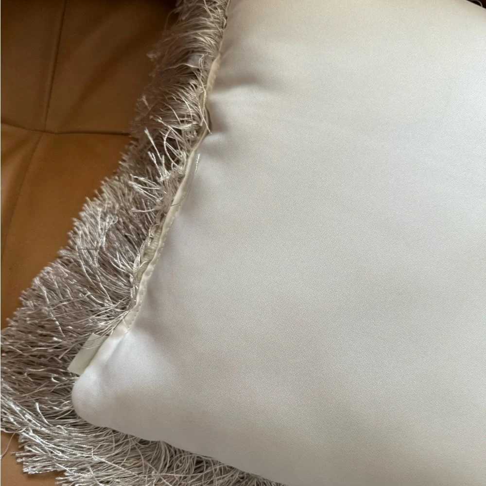 Pier 1 Imports Champagne Shag Decorative Pillows